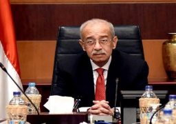 لجنة الأراضي: لن يتم التهاون في تطبيق القانون وتحصيل حق الدولةعقدت اللجنة العليا لاسترداد أراضي الدولة