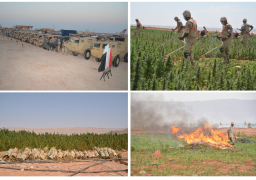 القوات المسلحة تقضي على 66 فدانا من “البانجو” و101 فدان من “الهيدرو”