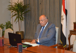 شكري يؤكد على دعم مصر لجهود تعزيز التعاون الجنوب جنوب.