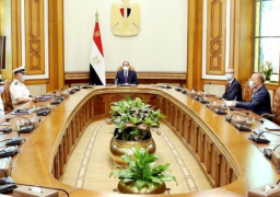 الرئيس السيسي يتناول مشروع توسعة وتطوير ميناء خليج أبو قير بشكل شامل