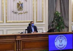 الوزراء يوافق علي مقترحات بتفعيل مبادرة الرئيس لدعم المستهلك المصرى