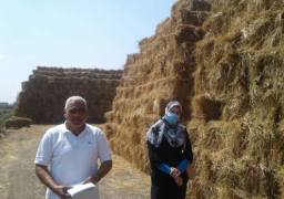 الزراعة:جمع وتدوير أكثر من 787 ألف طن قش الأرز وتنظيم 653 ندوة ارشادية