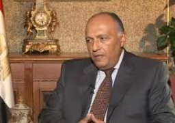 شكرى:مصر تسعى للتوصل إلى حل شامل وعادل للقضية الفلسطينية
