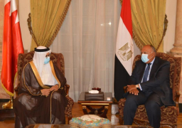 مصر والبحرين تؤكدان دعمهما للحل السياسي التوافقي للحفاظ على سيادة ليبيا ووحدتها