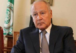 أبو الغيط: الجامعة العربية متمسكة بالثوابت الرئيسية للقضية الفلسطينية