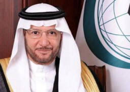 “التعاون الإسلامي” تندد بمحاولة الحوثيين استهداف المدنيين بالمملكة