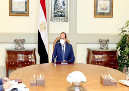الرئيس السيسي يوجه باستخلاص الدروس المستفادة من تجربة مصر لمكافحة كورونا منذ اندلاعها عالميًا