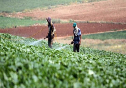 بمناسبة عيده ال ٦٨: وزير الزراعة: “الفلاح المصري” له دور هام في تحقيق الأمن الغذائي المصري