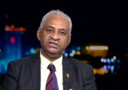 وزير الإعلام السودانى يؤكد أهمية إحياء الإنتاج المشترك للبرامج والأفلام مع مصر