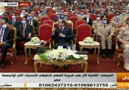 الرئيس السيسي:قادرون على مواجهة التحديات من خلال استقرار الدولة والعمل الجاد