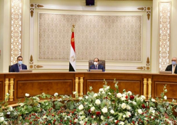 الرئيس السيسي يتابع مشروعات تنمية واحة سيوة وشواطئ شمال الدلتا وبورسعيد