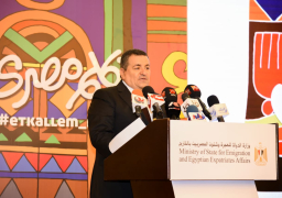 “هيكل”: المبادرة تحقق توجيهات الرئيس بالحفاظ على الهوية الوطنية