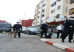 الأمن المغربي يلقي القبض على خلية إرهابية بطنجة تنتمى لتنظيم “داعش”