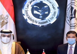 رئيس هيئة الاستثمار يبحث مع سفير البحرين سبل تعزيز الاستثمارات البحرينية في مصر