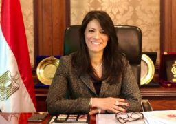 المشاط في مقابلة مع رويترز : نعمل على توطيد الشراكات الدولية لتوسيع مشاركة القطاع الخاص في الجهود التنموية