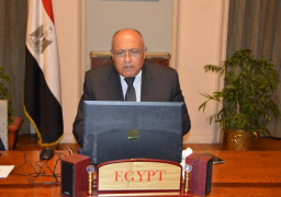 شكري يؤكد على محددات الموقف المصري من الأزمة السورية