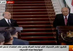 شكري يؤكد دعم مصر للحكومة العراقية للحفاظ على سيادة العراق
