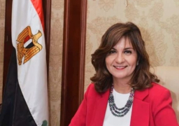 “الهجرة”: سفارتنا بأديس أبابا تعمل على إطلاق سراح المحتجزين بالمطار