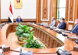 الرئيس عبد الفتاح السيسي يوجه بالإسراع فى تطوير صناعة السيارات العاملة بالطاقة الجديدة