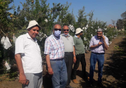 “الزراعة”: 10 توصيات لزيادة القدرة التنافسية للمنتجات الزراعية المصرية