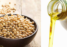 155 مليون دولار قيمة صادرات الصناعات الغذائية للجزائر وتونس