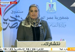 القباج: وزارة التضامن عملت على تحقيق الأهداف الاستراتيجية لرؤية مصر2030