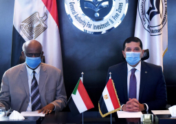 رئيس_هيئة_الاستثمار يبحث مع سفير_السودان سبل تعزيز الاستثمارات المتبادلة بين مصر والسودان.