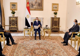 الرئيس السيسى يبحث مع وزير خارجية زامبيا تعزيز التعاون الأمنى ومكافحة الإرهاب فى القارة الأفريقية