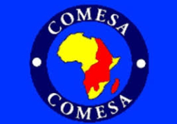 “الكوميسا” تطلق مبادرة لدعم الترويج للإستثمار في الدول الإفريقية في ظل استمرار كورونا