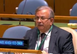 مندوب السعودية بالأمم المتحدة: أقلية الروهينجا تعرضت لانتهاكات ممنهجة