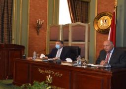 شكري يوجه بتكثيف التحرك الدبلوماسي دفاعا عن الموقف المصري تجاه التحديات الإقليمية والدولية