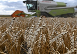 هيئة السلع المصرية تشتري 300 ألف طن قمحًا روسيًا