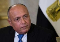 وزير الخارجية يبحث هاتفيا مع نظيره البريطاني عددا من الملفات