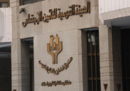 3 يناير ..صرف معاشات يناير والدفعة الثالثة من متجمد العلاوات الخمس