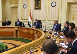 الوزراء يوافق على تنظيم المجلس الأعلى للموانئ وتأسيس شركة للنقل البحري