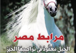 بمناسبة المشروع العالمي، “مرابط مصر” الكتاب الذهبي” تصدر عددا عن الخيل العربي المصري الأصيل “
