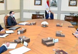 الرئيس عبد الفتاح السيسى يلتقى الرئيس التنفيذى والعضو المنتدب لـ فودافون العالمية