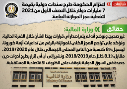 بالإنفوجراف.. مجلس الوزراء ينفي اعتزام الحكومة طرح سندات دولية بقيمة 7 مليارات دولار لتغطية عجز الموازنة العامة