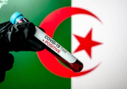 الجزائر: 914 إصابة جديدة بفيروس كورونا