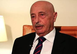 قبائل ليبيا ترفض أي آلية للتوافق لا تقوم على إعلان القاهرة