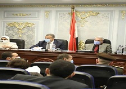 زايد: المشروع القومي لتجميع مشتقات البلازما يتم وفقا لأعلى المواصفات