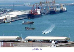 تداول 19 سفينة بموانيء بورسعيد