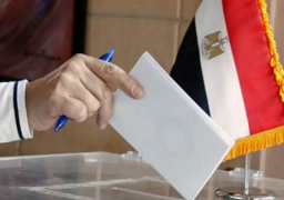المصريون بالخارج يواصلون طباعة بطاقات اقتراع الإعادة بانتخابات النواب