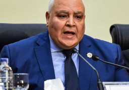 “الخارجية” تنعي المستشار لاشين ابراهيم