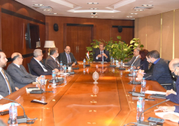 ” فهمي”: هدفنا توفير مشروعات للمصريين بالخارج والعائدين بهدف الاستثمار