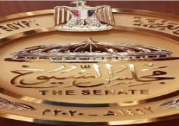 الصحفيون والإعلاميون بـ”الشيوخ”: هدفنا دعم المهنة ومصر الحبيبة