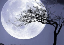 «البدر» الأخير 2020 يزين سماء مصر والوطن العربى اليوم