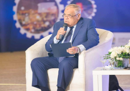 رئيس “العربية للتصنيع”: نأمل أن تصبح مصر مركزا إقليميا لصناعة السيارات