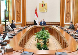 الرئيس عبد الفتاح السيسى يوجه بالبدء الفورى فى الخطوات التنفيذية لإنشاء معامل مركزية بالموانئ