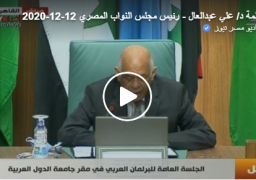 بالصور والفيديو : عبد العال يؤكد تواصل مساندة مصر بقيادة الرئيس السيسى للبرلمان العربي..